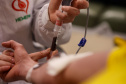 SESA DOAÇÃO DE SANGUE