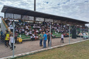 pista