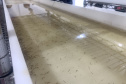Paraná solta os primeiros mosquitos do “Método Wolbachia” na inauguração da biofábrica, em Foz do Iguaçu