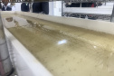 Paraná solta os primeiros mosquitos do “Método Wolbachia” na inauguração da biofábrica, em Foz do Iguaçu