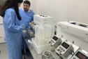 58 milhões de wolbitos devem ajudar Londrina no combate às arboviroses 