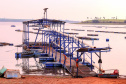 Com tilápia em alta, exportação paranaense de pescados cresceu 20% no 1º semestre de 2024