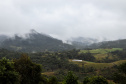 FRIO
