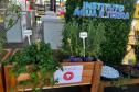 IAT promove a inclusão social e ambiental por meio dos jardins sensoriais