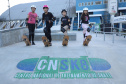 SKATE OLIMPIADAS