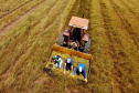 Capital da camomila, Mandirituba é o maior produtor paranaense da planta tanto em área como em produtividade.
