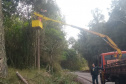 DER PR-170 Pinhão conservação de faixa de domínio