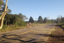 DER PR-170 Pinhão conservação de faixa de domínio