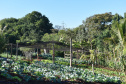 Horta comunitária do programa Cultivar Energia em Maringá recebe comitiva peruana 