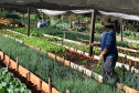 Horta comunitária do programa Cultivar Energia em Maringá recebe comitiva peruana 