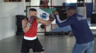 BOXE