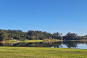 SETU