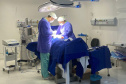 SESA HOSPITAL GUARAPUAVA CIRURGIAS