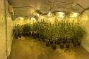 PMPR APREENDE MACONHA