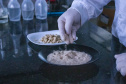 Apoiada pelo Estado, startup paranaense transforma  fungos em “carne”