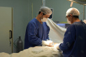 Com apoio do Estado, Instituto São José de Laranjeiras do Sul realiza primeira captação de órgãos para transplante