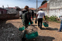  IAT APREENDE SETE AVES MANTIDAS EM CATIVEIRO IRREGULAR EM CURITIBA NESTA QUINTA-FEIRA (29)