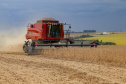 Investimentos do Paraná em agricultura cresceram 344% em 2024