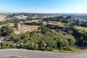 PEDREIRA
