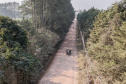 ESTRADA MANDIRITUBA