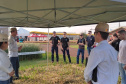IDR-Paraná marca presença no Show Rural Coopavel de Inverno