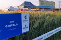 IDR-Paraná marca presença no Show Rural Coopavel de Inverno