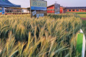 IDR-Paraná marca presença no Show Rural Coopavel de Inverno