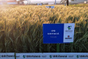 IDR-Paraná marca presença no Show Rural Coopavel de Inverno