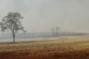 IAT ajuda a combater três novos focos de incêndio florestal no Paraná
