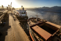 Exportação de soja pelos portos paranaenses cresce 4 vezes mais que a média nacional