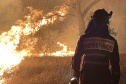 BOMBEIROS Volta da 2ª equipe encerra missão paranaense no Pantanal