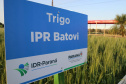  Evento de Agricultura de Baixo Carbono - show rural de inverno
