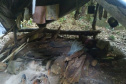  Instituto Água e Terra (IAT) e Batalhão de PolíciaAmbiental - Força Verde desmobilizaram um acampamento de caçadores quefuncionava dentro do Parque Estadual Pico do Marumbi.