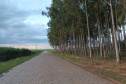 Investimentos do Paraná em agricultura cresceram 344% em 2024