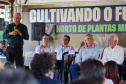 Darci Piana lança horto de plantas medicinais, aromáticas e condimentares em Londrina 