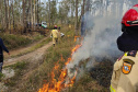 -Bombeiros voluntários do Programa de Incêndios na Natureza