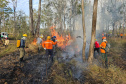 -Bombeiros voluntários do Programa de Incêndios na Natureza