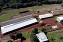 Com destaque para grãos e proteínas animais, VBP mostra vocações regionais e diversidade do agro do Paraná