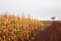 IAT e Incra formalizam parceria para regularizar assentamentos de reforma agrária no Paraná