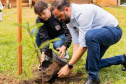 Em comemoração ao dia da árvore, Educação lança projeto AgroFloresta, em Irati