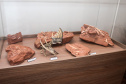 Município recebe título de "Vale Nacional dos Dinossauros" e mostra potencial do Paraná no turismo científico