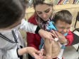 Com mais de 160 mil doses aplicadas, Paraná divulga novo balanço da força-tarefa de vacinação nas escolas