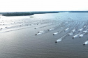 IAT RIO VIVO