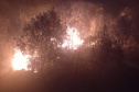 Para tentar amenizar os focos de incêndios ambientais, IAT suspendeu a queima controlada no campo