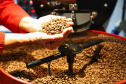 Mesmo com menor produção, café garante mais rendimento ao produtor