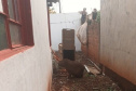 Após passar por tratamento veterinário, capivara voltou para a natureza nesta quarta-feira (9)