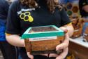 27ª Feira do Colégio Agrícola CEEP Manoel Moreira Pena, de Foz do Iguaçu, evidencia capacitação dos alunos em técnicas agrícolas e tecnologias sustentáveis