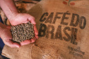 Mesmo com menor produção, café garante mais rendimento ao produtor