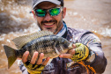 Novo ciclo do projeto Rio Vivo vai soltar 2,6 milhões de peixes nativos nas bacias do Paraná a partir deste mês