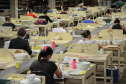 porcelanas